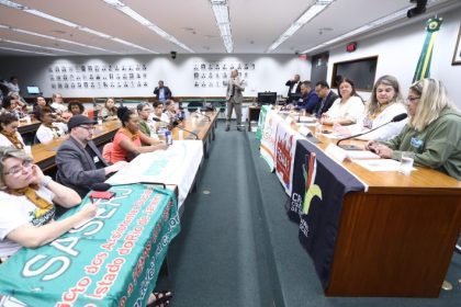 Assistentes sociais defendem na Câmara aprovação de piso salarial para a categoria