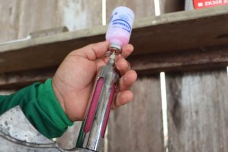 Adaf prorroga vacinação contra a raiva dos herbívoros até 28 de novembro