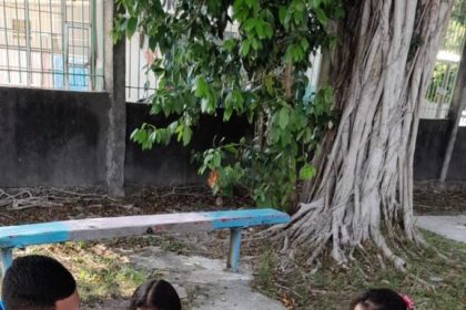 Mania de Ler: Biblioteca Volante leva cultura e incentivo à leitura a crianças e adolescentes