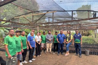 Em Lábrea, Idam prepara 9,6 mil mudas de cacau para distribuição a agricultores familiares