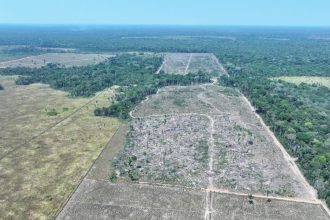 Ipaam aplica mais de R$ 30 milhões em multas na 4ª etapa da Operação Tamoiotatá 5