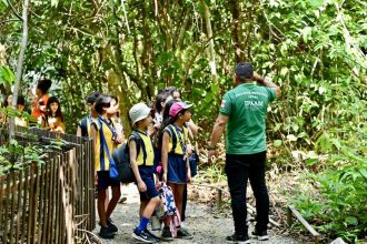 Ipaam promove educação ambiental no Bosque Vandete Rocha em atividades para estudantes