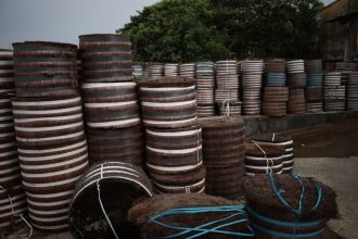 Governador Wilson Lima lança credenciamento para concessão de apoio financeiro a extrativistas da piaçava