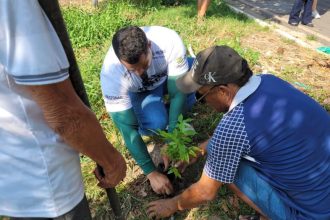 Equipe do Prosai participa de ação socioambiental no Reduto da Francesa no Dia da Árvore
