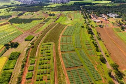 Comissão realiza audiência para debater os 50 anos da Embrapa Cerrados