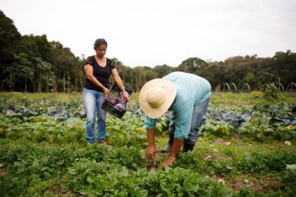 Governo libera R$ 12 bilhões em crédito para produtores rurais afetados pelo clima