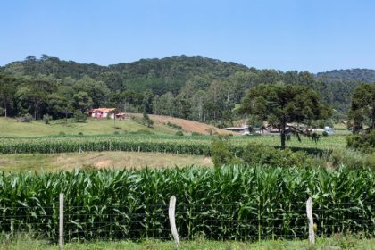 Nova lei prorroga até 2030 prazo para regularização de imóveis na fronteira