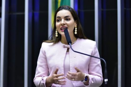 Comissão aprova plano para combater doenças transmitidas por mosquitos e carrapatos