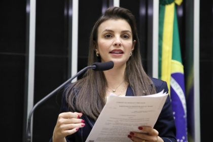 Comissão aprova padrão de qualidade para produtos com alho triturado