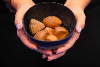 Com o apoio do Governo do Amazonas, Manaus sedia Simpósio Brasileiro de Óleos Essenciais