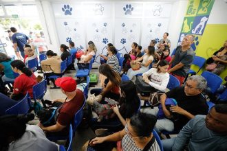 Hospital Público Veterinário do Amazonas segue com atendimentos clínicos e emergenciais