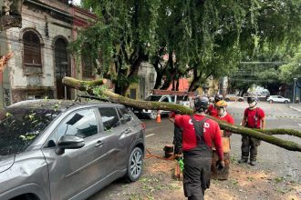 Corpo de Bombeiros desobstrui avenida Ferreira Pena, no Centro, interditada após tronco cair em cima de veículo