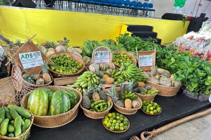 Agência de Desenvolvimento Sustentável do Amazonas entrega kits e insumos a produtores em Japurá, Alvarães e Tefé