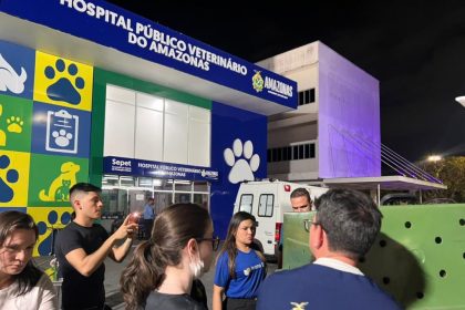 Operação da Sepet-AM resgata 24 cachorros em situação de maus-tratos no bairro Flores, em Manaus