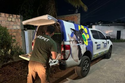 Mais de 20 animais são resgatados de canil clandestino desarticulado pela Sepet-AM