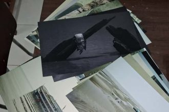 Governo do Amazonas apoia evento sobre ciência e arte amazônica, em Manaus