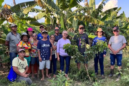 Em Autazes, Idam faz treinamento de poda de frutíferas e cultivo de hortaliças