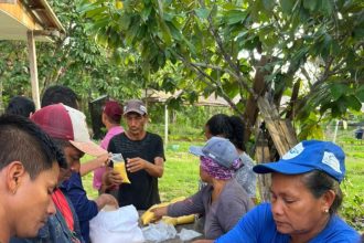 Em São Paulo de Olivença, Idam realiza curso de ‘Boas Práticas na Fabricação de Derivados de Mandioca’