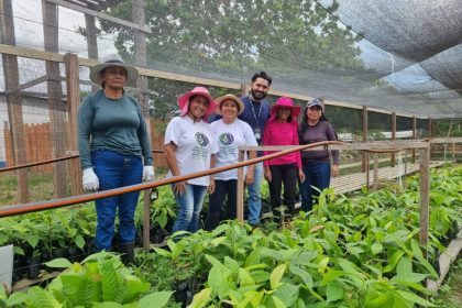 Projeto Mulheres Rurais inicia produção de mudas de cacau e açaí em Boa Vista do Ramos e beneficia 30 agricultoras