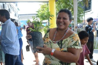 Governo Presente: Ipaam distribui 200 mudas de plantas frutíferas, medicinais e ornamentais