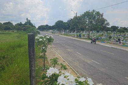 Manaus amplia plano de arborização de cemitérios com plantio de pau-pretinho em campos-santos