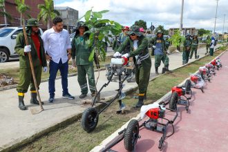 Prefeitura de Manaus atinge marca histórica com plantio de mais de 30 mil mudas no ano