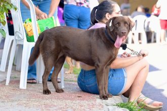 Sepet-AM realiza agendamento do Castramóvel durante o Governo Presente no Educandos