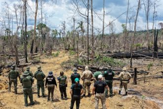 Operação Tamoiotatá 2025: Ipaam aplica R$ 144,7 milhões em multas por crimes ambientais no sul do Amazonas