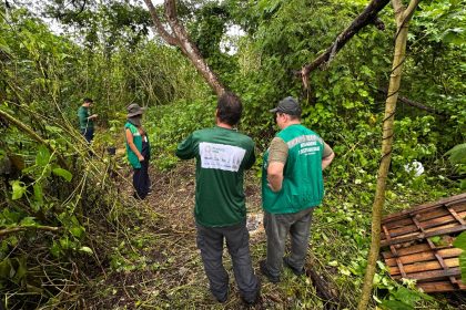 Prefeitura e Idesam lançam projeto para restaurar 70 hectares em Unidades de Conservação de Manaus