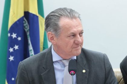 Comissão de Agricultura da Câmara cobra regulamentação de lei sobre cultivo sustentável de bambu