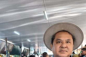 Mosca-da-carambola: Adaf percorre feiras e propriedades para alertar a população sobre proibição de transporte de frutos