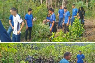 Projeto apoiado pelo Governo do Amazonas analisa a produção e herança cultural da farinha de mandioca em Barreirinha