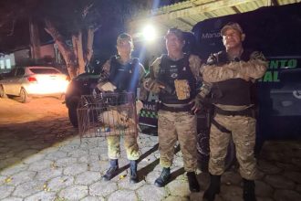 Guarda Municipal resgata gavião em bueiro no bairro Parque 10 de Novembro 