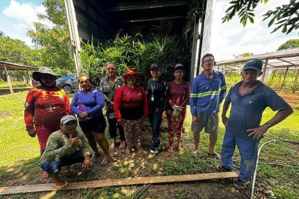 Com produção em alta no Amazonas, açaí é reconhecido oficialmente como fruta autenticamente brasileira