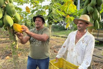 Prefeitura de Manaus e Ufam firmam acordo para capacitação de agricultores familiares