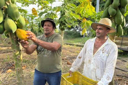 Prefeitura de Manaus e Ufam firmam acordo para capacitação de agricultores familiares