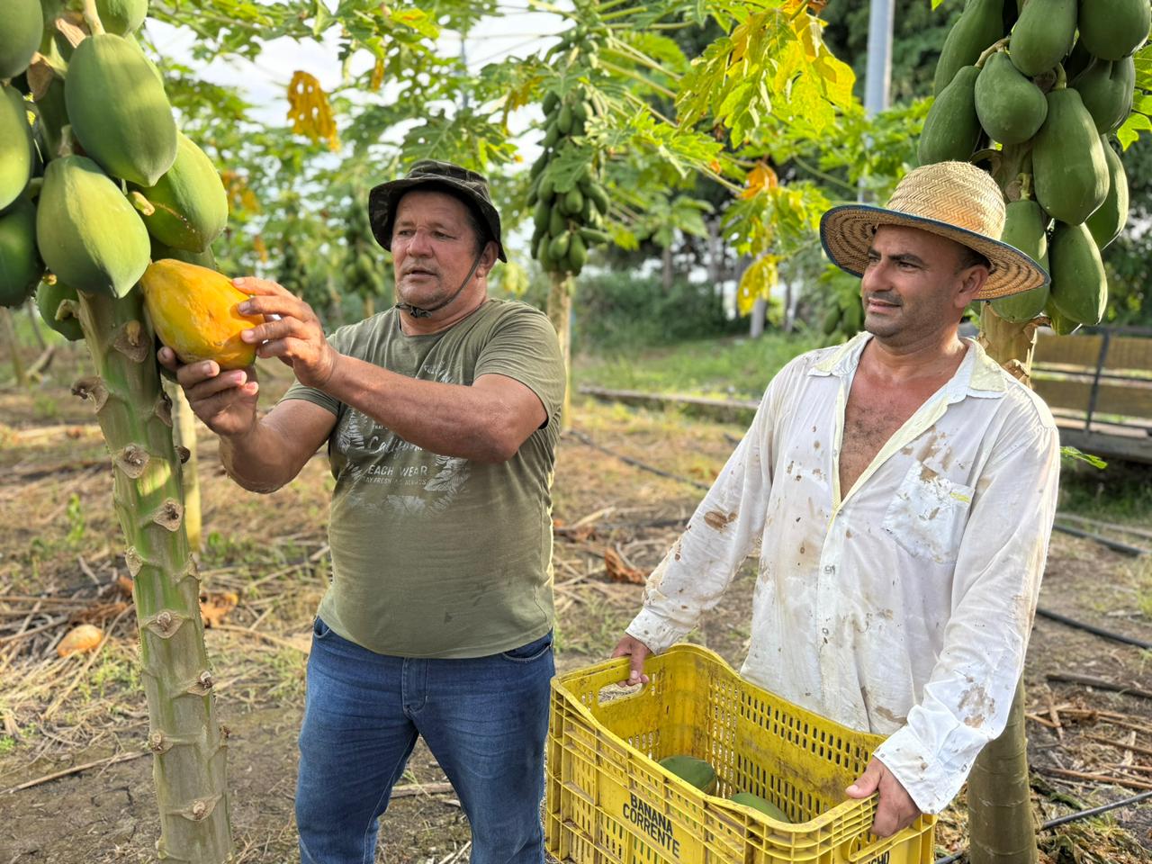 Prefeitura de Manaus e Ufam firmam acordo para capacitação de agricultores familiares