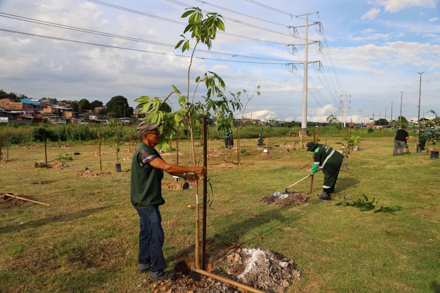 Plano de arborização de Manaus supera meta e alcança 32 mil mudas plantadas em 2025