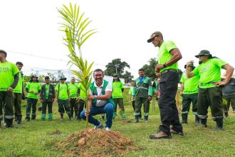 Prefeitura de Manaus alcança marca de 6 mil mudas plantadas em apenas um mês e comemora com plantio no Tarumã