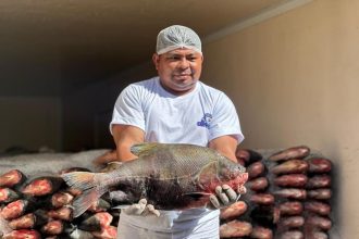 Governo do Amazonas investe mais de R$ 23 milhões na agricultura por meio do PAF em 2025