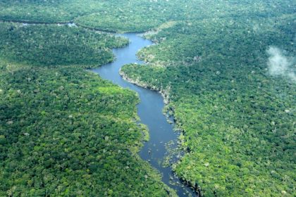Desmatamento no Amazonas cai 56,4% em janeiro de 2026, aponta Inpe