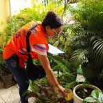 Prefeitura alerta sobre cuidados para prevenção a acidentes com animais peçonhentos em Manaus