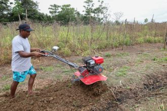 Sepror publica tabela de preços de ‘Compra e Venda de Produtos Agropecuários e Florestais’ de janeiro de 2026
