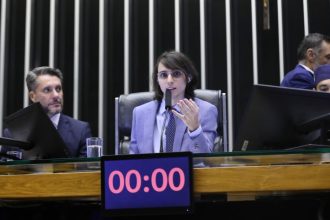 Projeto cria plataforma digital pública para receber denúncias de crimes ambientais