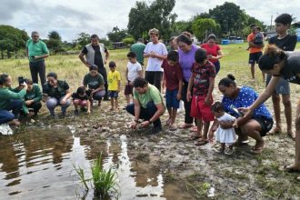 Soltura de quelônios mobiliza comunidades e fortalece conservação na RDS Puranga Conquista