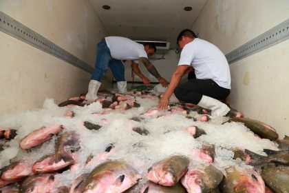 Prefeitura de Manaus inicia entrega de 100 toneladas de pescado e beneficia 40 mil famílias na Semana Santa