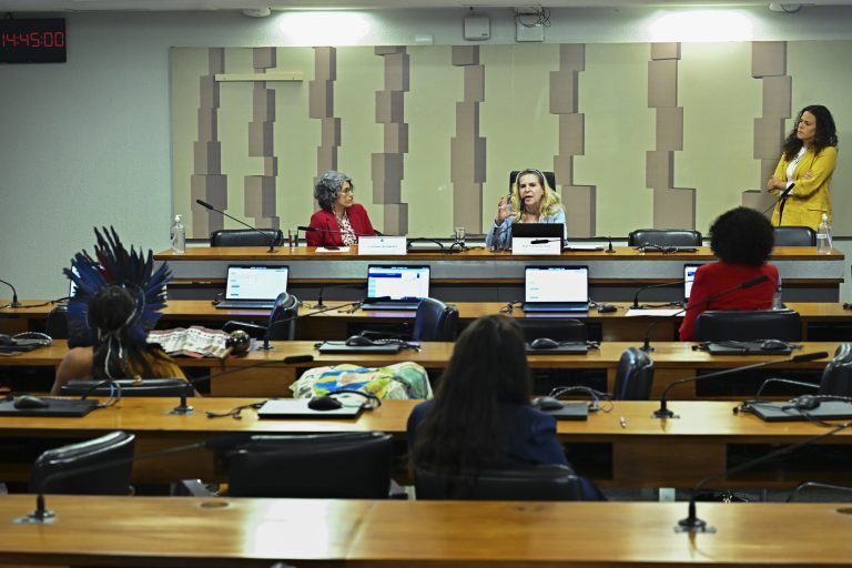 Violência contra mulheres negras e indígenas mobiliza debate no Congresso