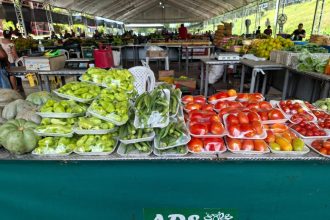 Feira de Produtos Regionais: ADS realiza 12 edições na primeira semana de março