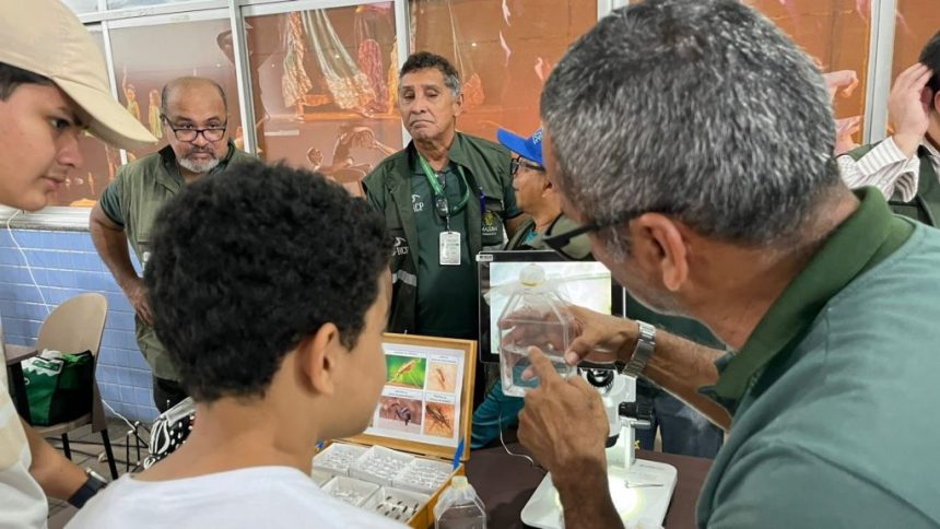 Governo Presente: FVS-RCP promove orientação e prevenção à população