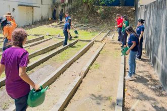 Projeto une matemática e educação ambiental por meio de horta escolar com apoio do Governo do Amazonas